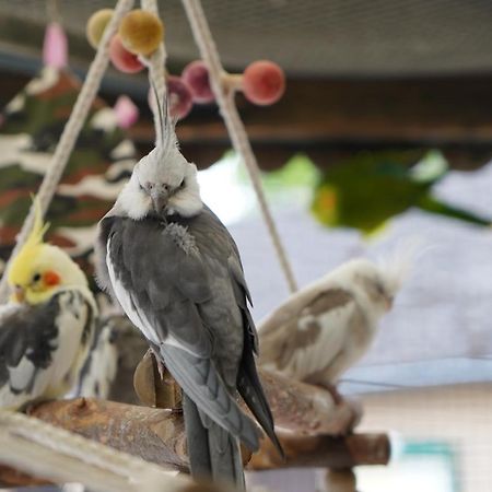 Maerchencamping Stuhr Ngoại thất bức ảnh