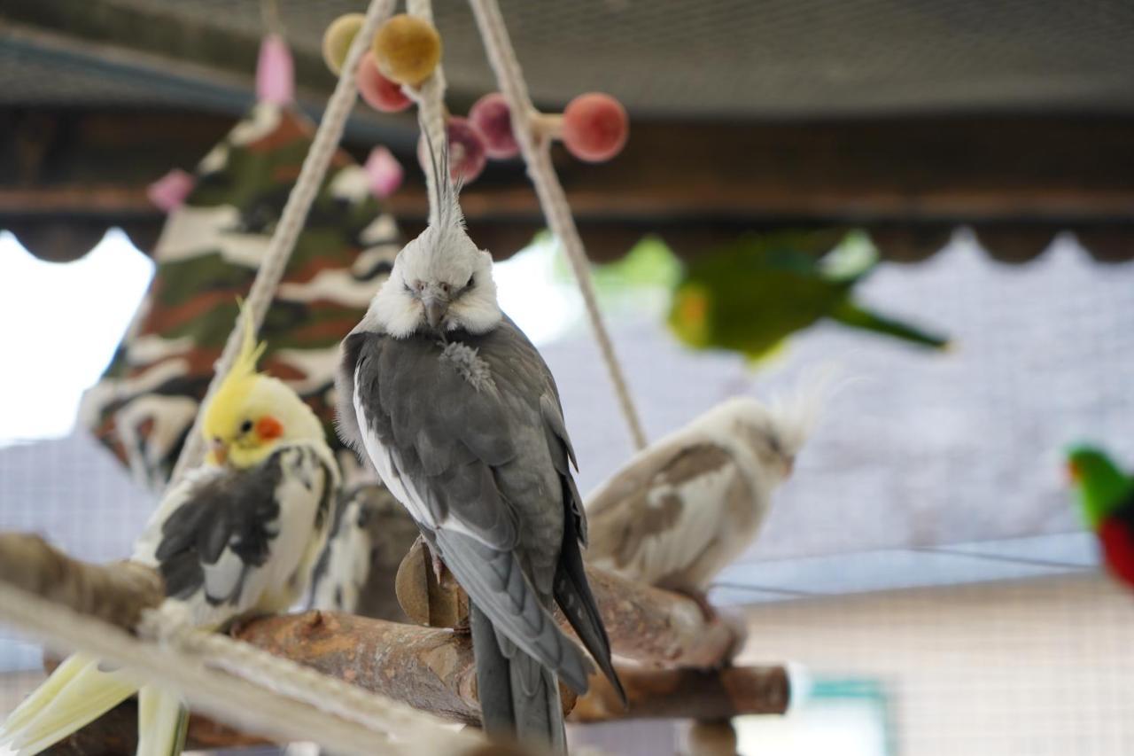 Maerchencamping Stuhr Ngoại thất bức ảnh